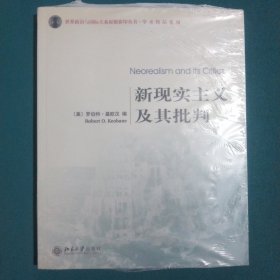 新现实主义及其批判