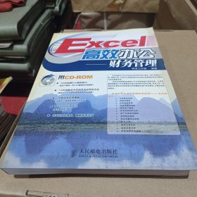 Excel高效办公.财务管理