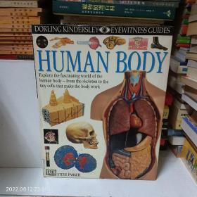 dk human body