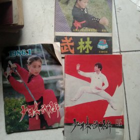 80年代少林武术杂志3本合售如图
