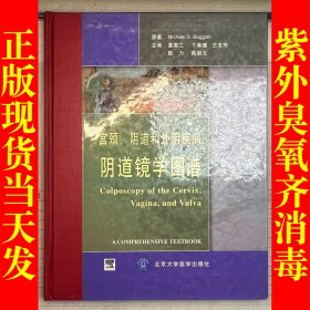 宫颈阴道和外阴疾病阴道镜学图谱