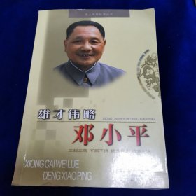 雄才伟略邓小平