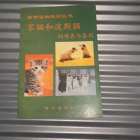 家猫和波斯猫的喂养与鉴别