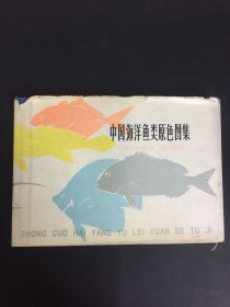 中国海洋鱼类原色图集（第一集）