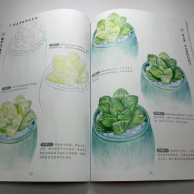 【正版二手】美术入门基础教程彩铅画起步张恒国9787122365774化学工业出版社