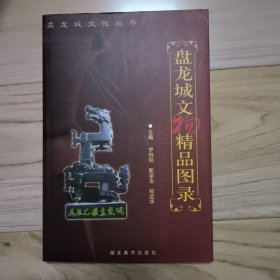 盘龙城文物精品图录