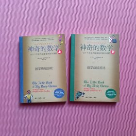 神奇的数学：517个开发大脑潜能的数学谜题（上下）