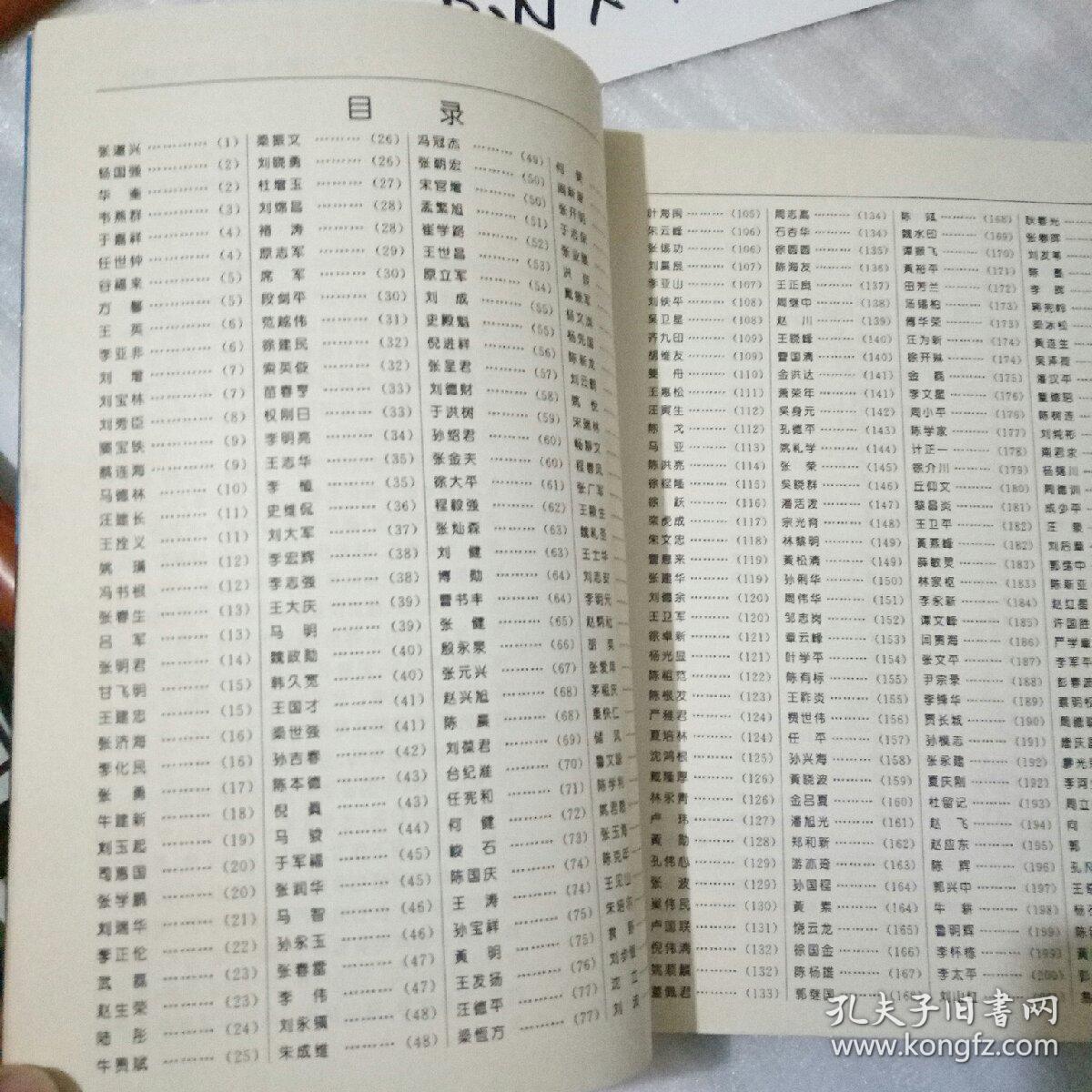 中国硬笔书法艺术家精品（沈鹏题签、沈鸿根等480人书法、请阅详细描述、16开376页）