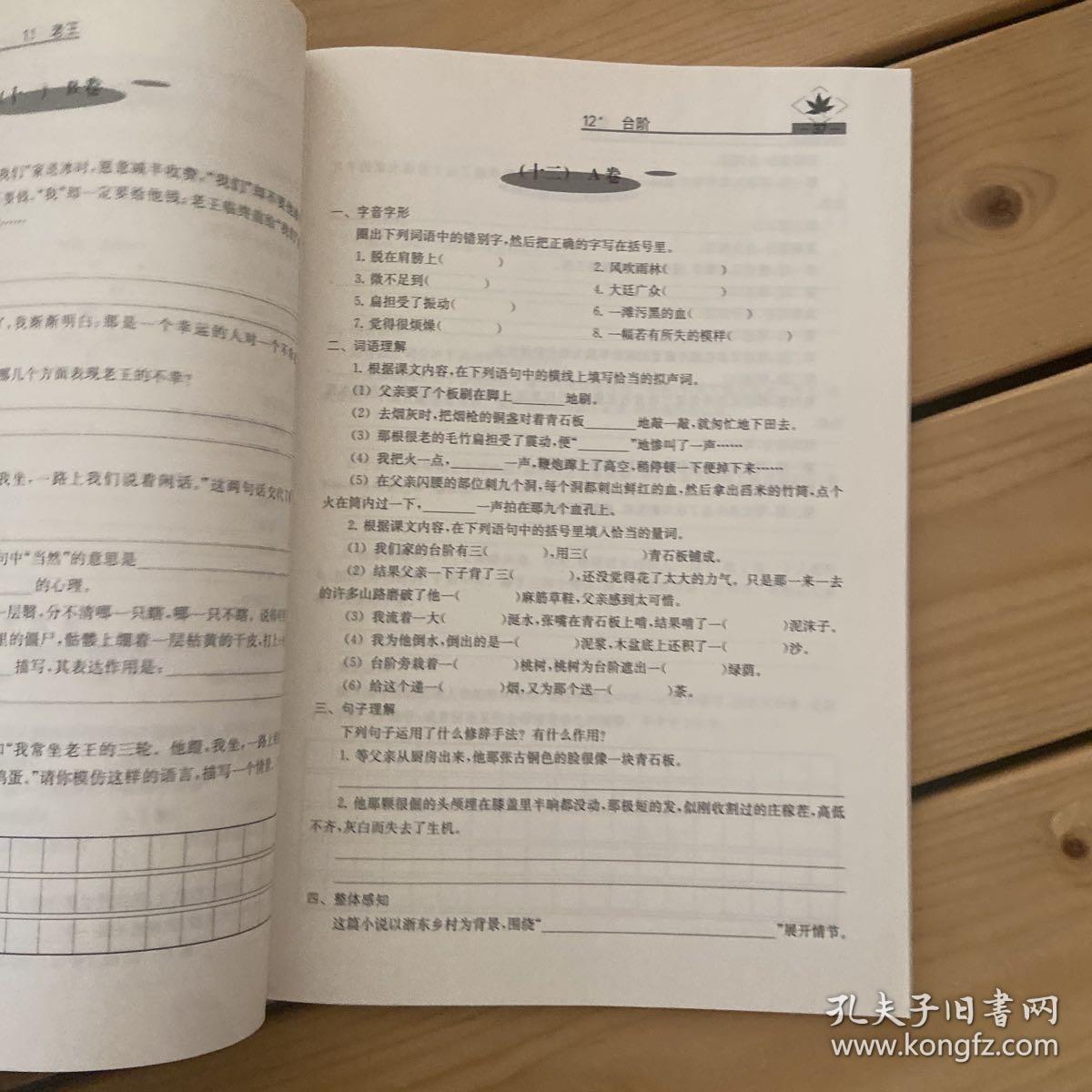 名牌学校分层课课练  语文专项训练   七年级下册