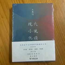 现代小说化读