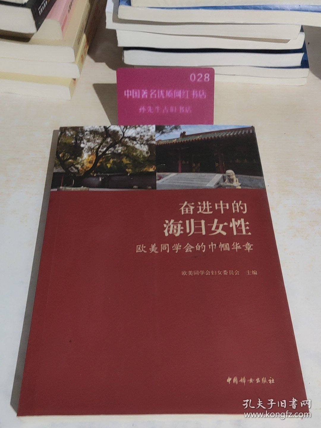 奋进中的海归女：欧美同学会的巾帼华章 成功学 欧美同学会妇女委员会主编 新华正版