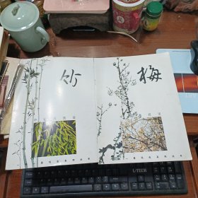 一物一景写生系列丛书 中国画技法：梅 竹