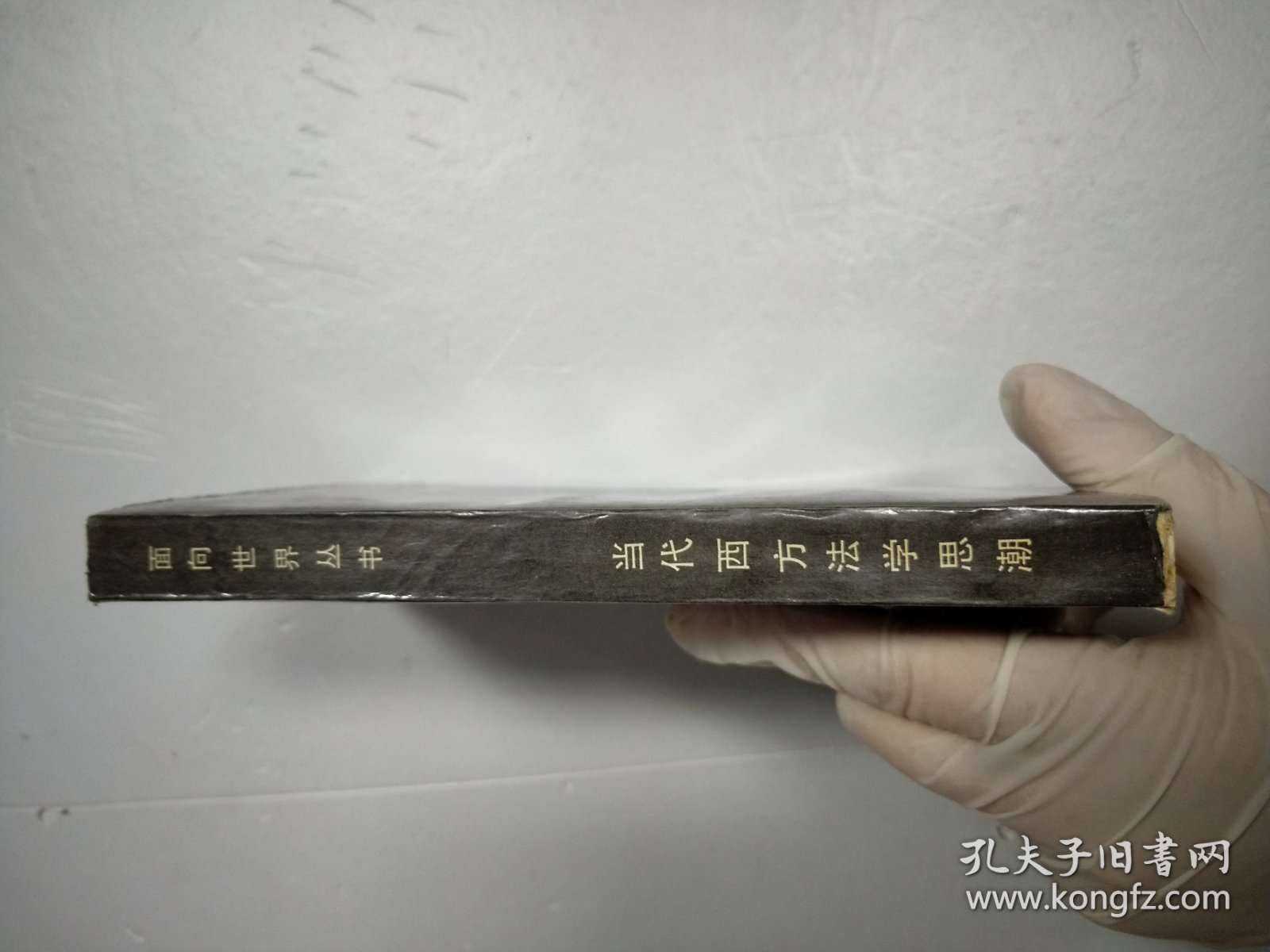 面向世界丛书：当代西方法学思潮