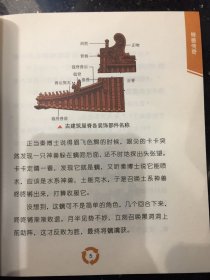 寻宝记·神兽在哪里2：脊兽传奇