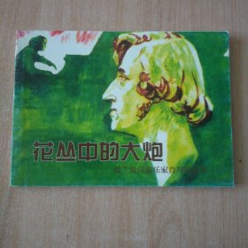 北京小学生连环画 花丛中的大炮