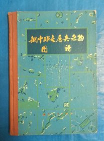 鋼中非金屬夾雜物圖譜
