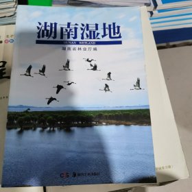 湖南湿地（包邮）内页干净