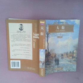 名家名译：大街（彩色插图本）