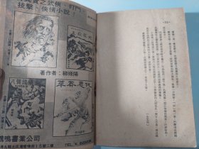 新派武侠奇情小说:十恶僧