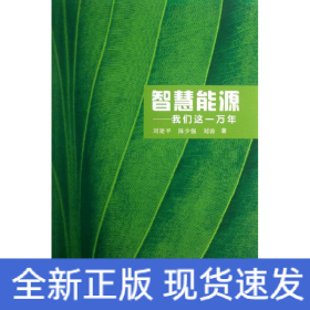智慧能源