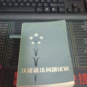 汉语语法问题试说