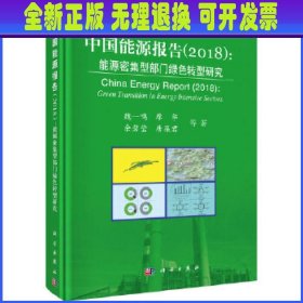 中国能源报告2018：能源密集型部门绿色转型研究