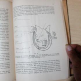 DIE ROLLE DER EINZELNEN LABYRINTHREZEPTOREN BEI DER ORIENTATION VON AUGEN UND KOPF IM RAUME