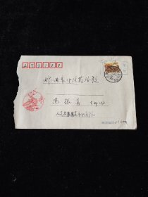 实寄封，“文化”邮戳，梅花图案 1998年年历，有信纸