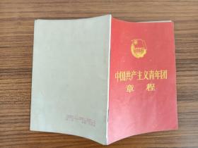 中国共产主义青年团章程 91年