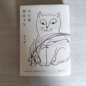 小行星掉在下午