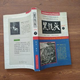 黑镜头(7)