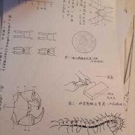 武汉大学刘宝联教授家流出底稿等资料一包（原装在一个大信封里 ）