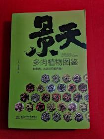 景天多肉植物图鉴