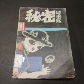秘密游击队    馆藏书