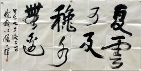 曹心源，祖籍浙江嘉兴，1960年2月生于北京。 中国书法家协会会员，京华印社副社长，国际青年研修大学教授，中国书法艺术研究院艺委会委员，香港国际画院山水画艺委员副主席，北京语言大学艺术学院教授、硕士生导师，《当代中国书画名家名作集萃》副委会副编审，1998年被国家文化部聘为第八届“群星奖”书法类作品评委，