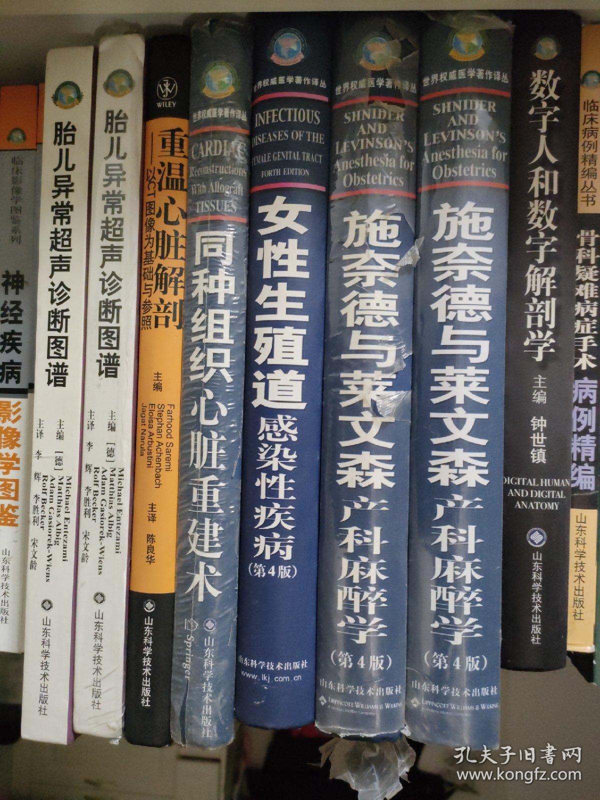 施奈德与莱文森产科麻醉学（第4版）