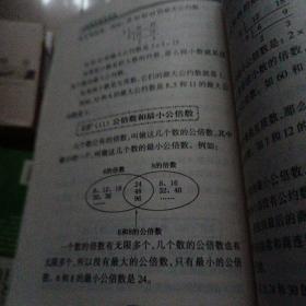 小学数学规律手册