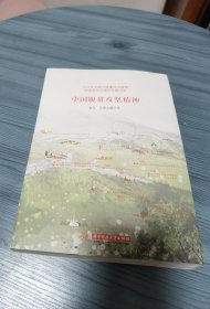 中国脱贫攻坚精神