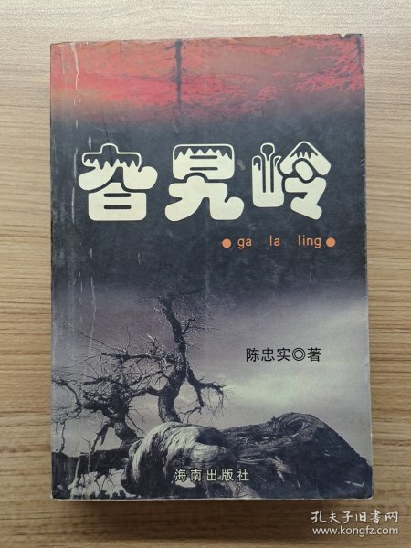 孔飞风雨坎坷六十年：新中国开国蒙古族将军孔飞传记