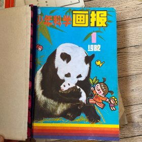 少年科学画报1982年1-12期全