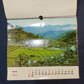 老挂历 1973年挂历 13张完整