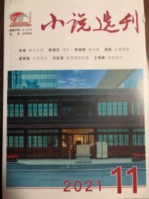 小说选刊    2021年11期