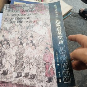 陕西历史博物馆馆藏唐墓壁画病害调查研究