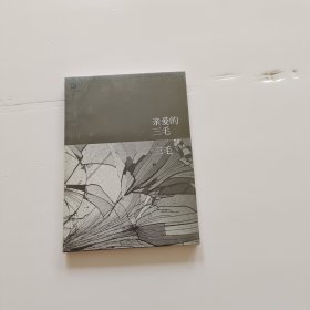 亲爱的三毛 全新