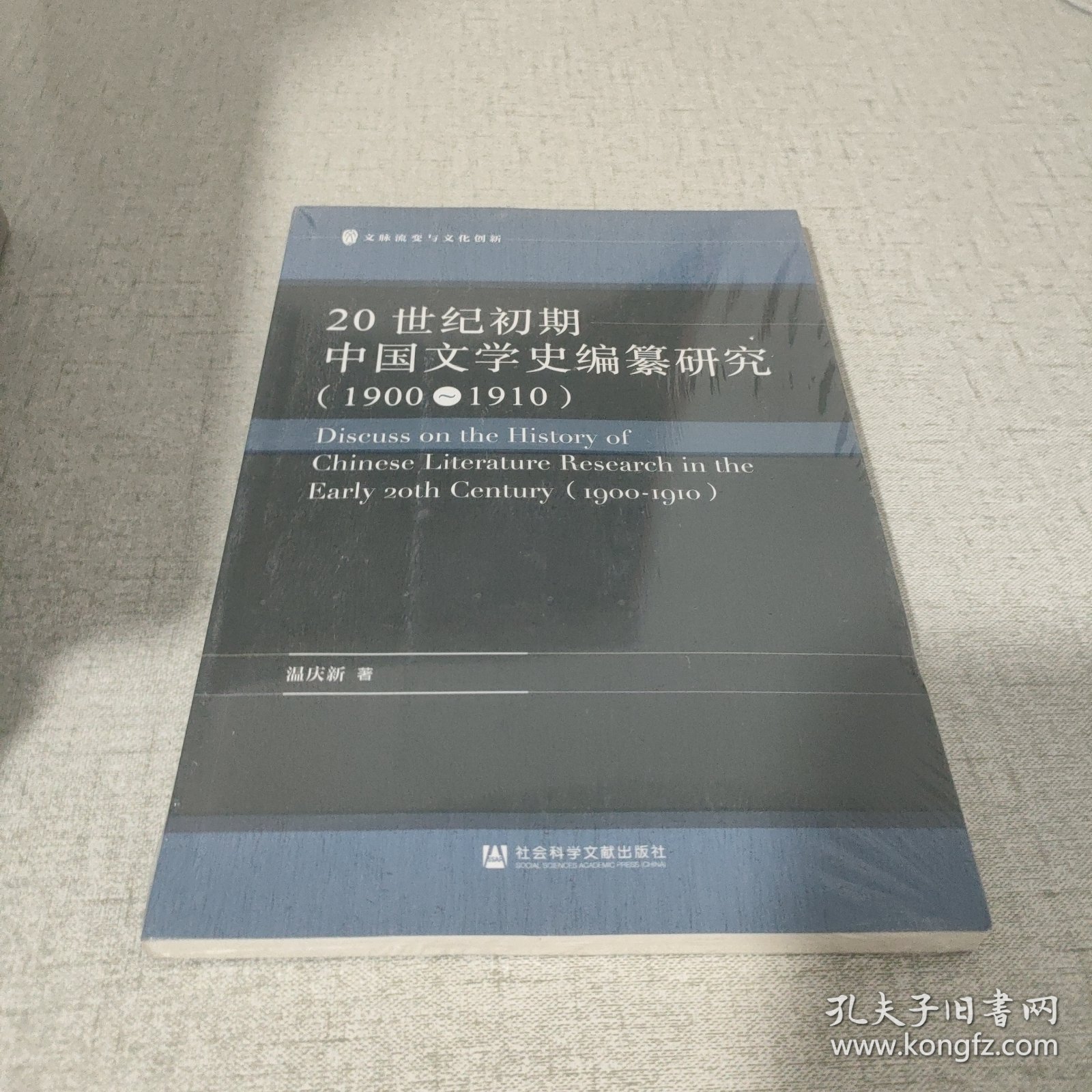 20世纪初期中国文学史编纂研究