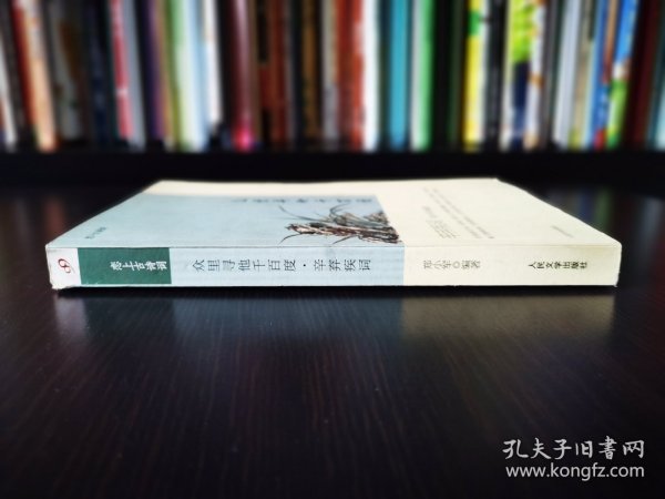 恋上古诗词《众里寻他千百度 辛弃疾词》