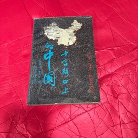 十字路口上的中国：问题、探索、艰难的选择