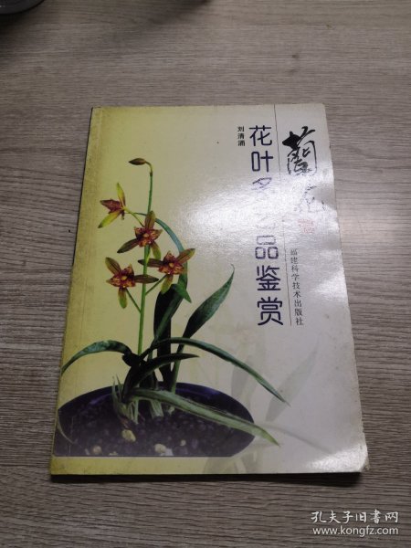 兰花花叶多艺品鉴赏