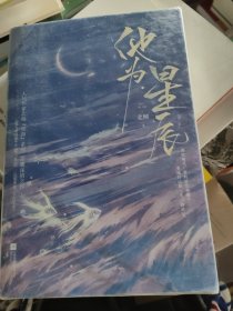 他为星辰（北倾“星海”系列甜暖深情之作。《他与爱同罪》×《他为星辰》，山河滚烫，不负至爱。）