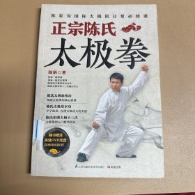 J02菲03陈氏太极拳